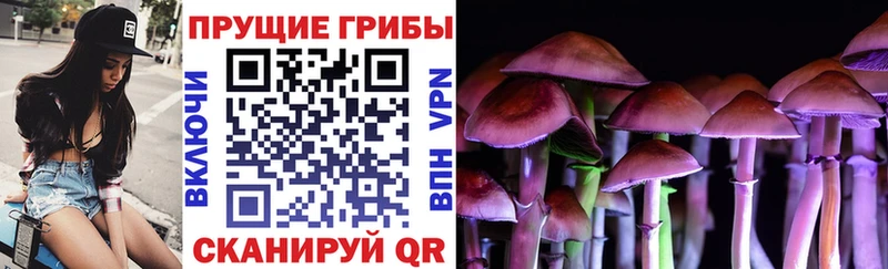 Псилоцибиновые грибы мицелий мориарти клад Кадников