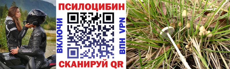 Галлюциногенные грибы прущие грибы Кадников