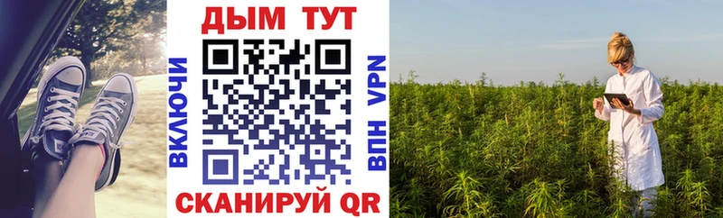 где купить наркоту Кадников Марихуана SATIVA & INDICA